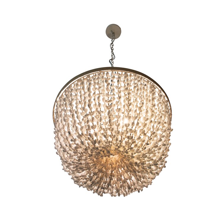 Lorsworth 3 - Light Seashell Dimmable Drum Chandelier